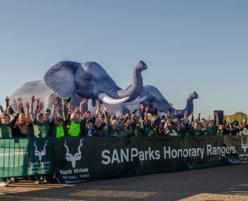 Anti-poaching conservation donations and SANParks funding